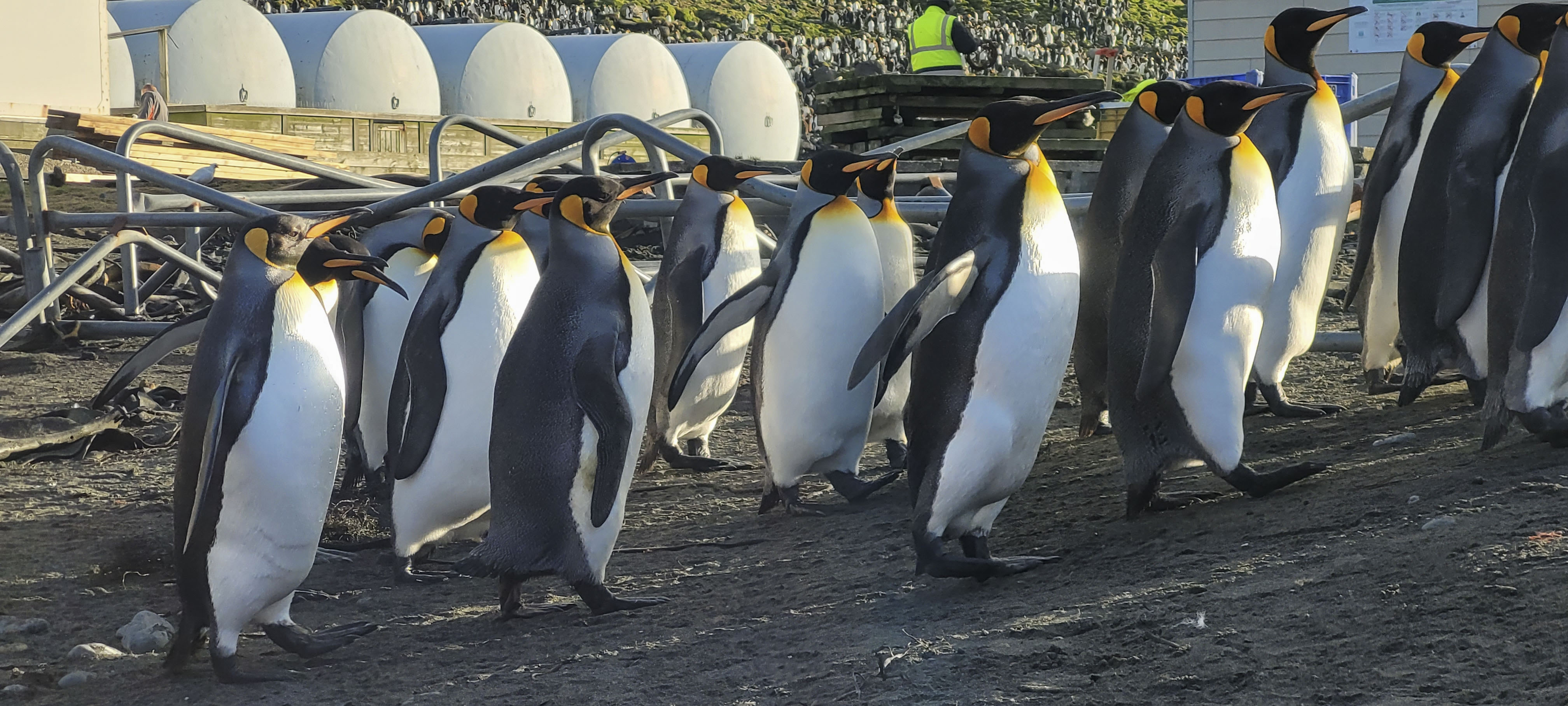 GYT 20220701 150518 20220701 150517